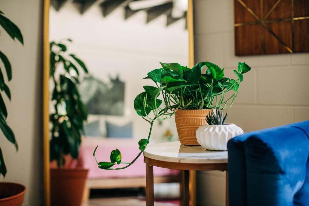 Stellar Suites Louisville Dış mekan fotoğraf